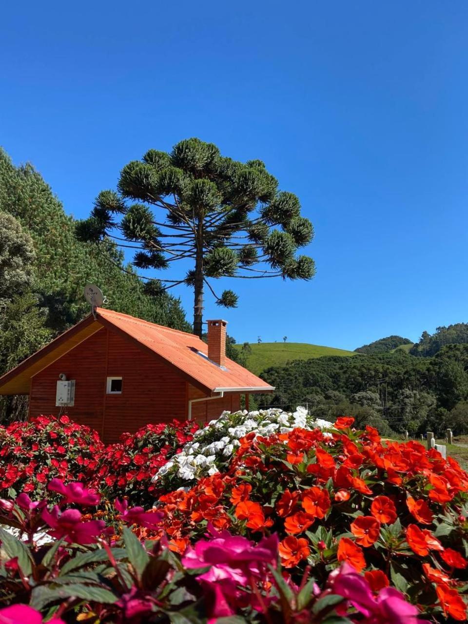 Chales Canto Da Serra Monte Verde  Exteriör bild
